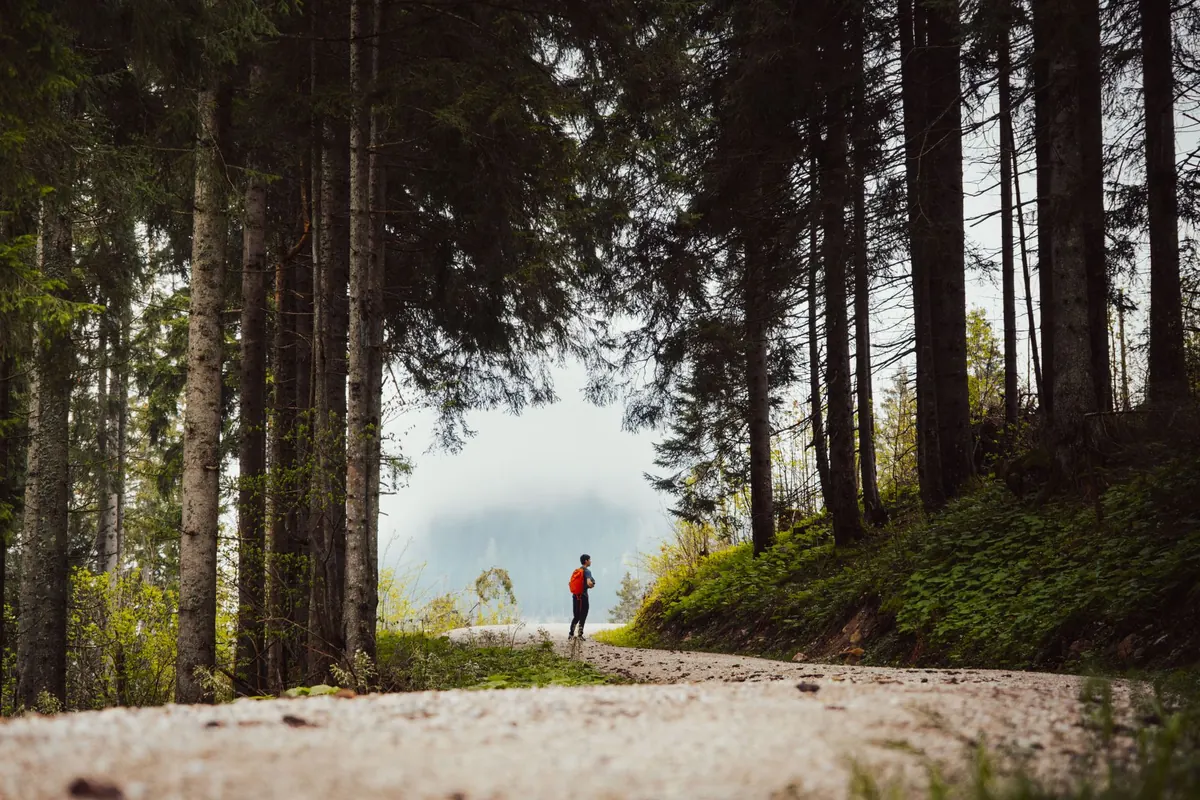 10 Navigation Mistakes That Get Hikers Lost (and How to Avoid Them)