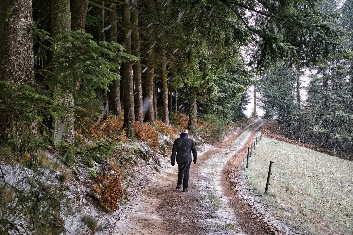 Winter Hiking Navigation: Finding Your Way When Trails Vanish Under Snow